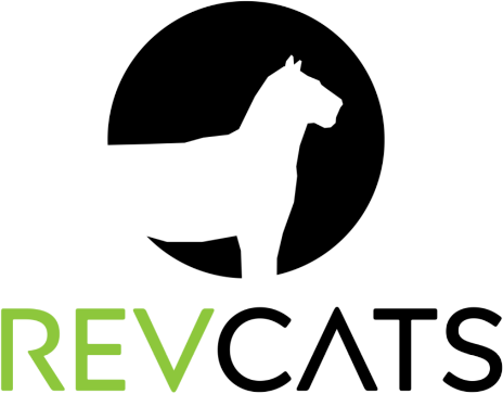 Linear TV Expert (Freelance/Consultant)