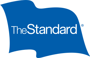Senior IT Finance & Analytics Analyst