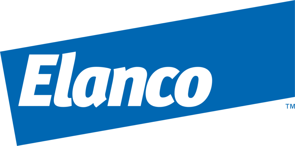 Director – Automation Engineering