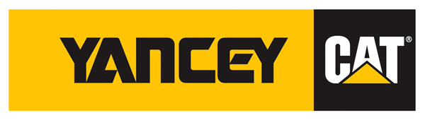 Technology Service Technician