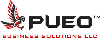 Business Intelligence Director